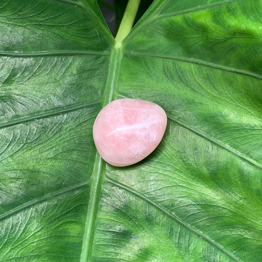 Rose Quartz stone on a leaf